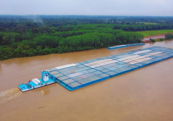 Tradição familiar no<br> setor naval desde <b>1993</b>